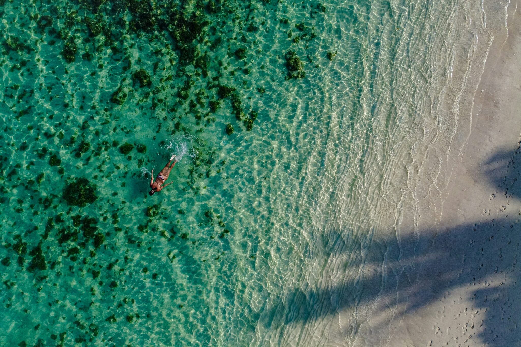 anton marchuk hcvqpgffiqq unsplash