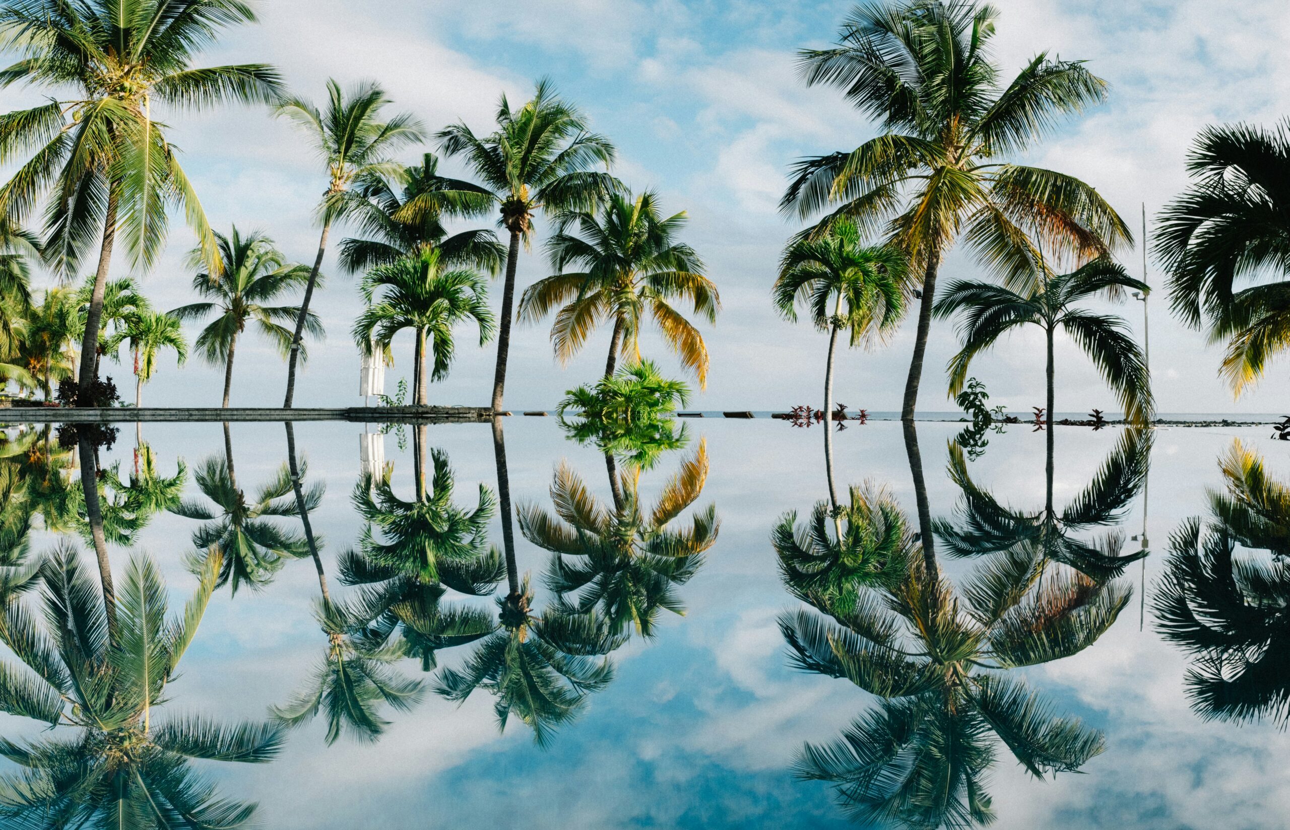 dan freeman wan4rfmxtxu unsplash